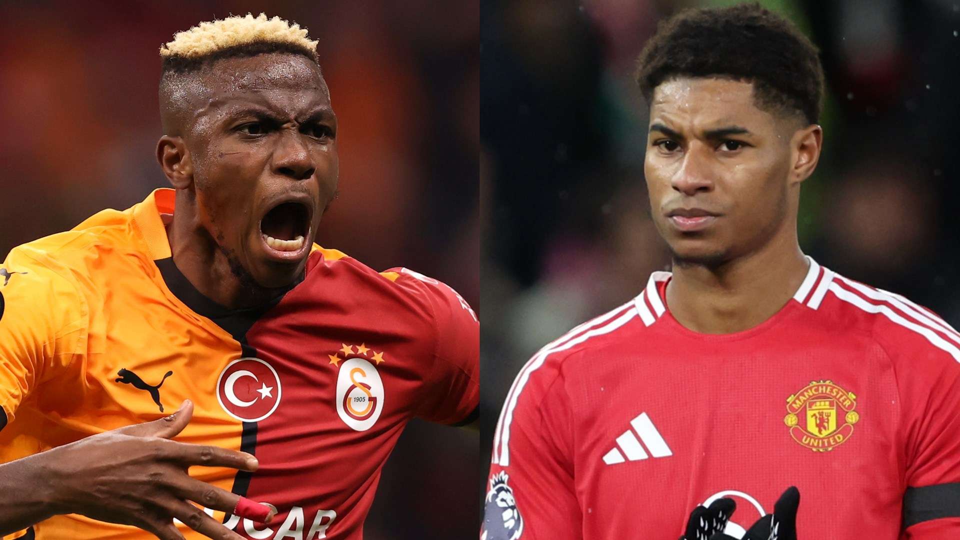 的鬥志和關 的鬥志和關