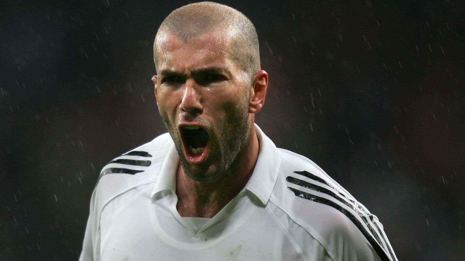 也赋予了球 也赋予了球